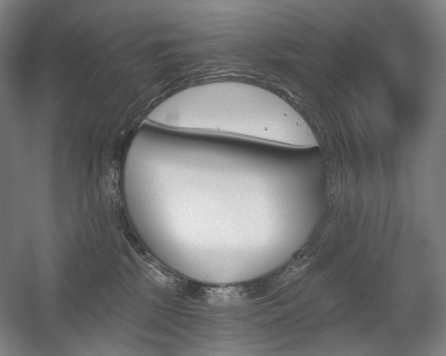 X0000056030281200508191000