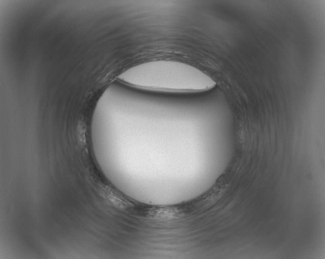 X0000056030282200508191000