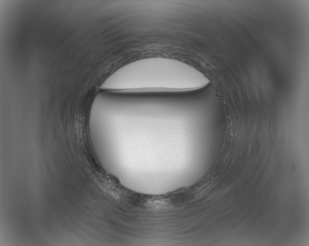 X0000056030283200508191000