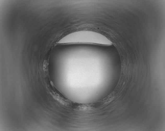 X0000056030284200508191000