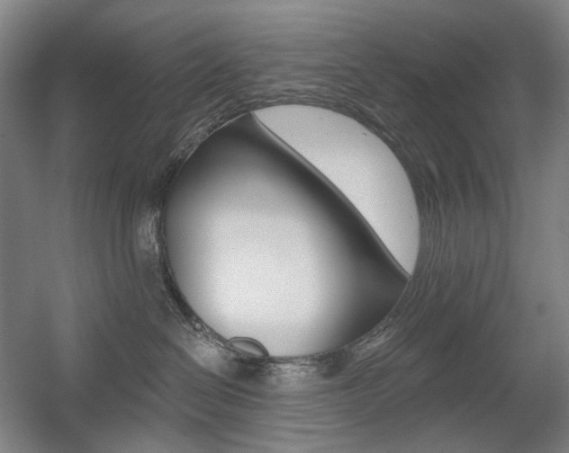 X0000056030286200508191000