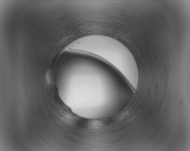 X0000056030287200508191000