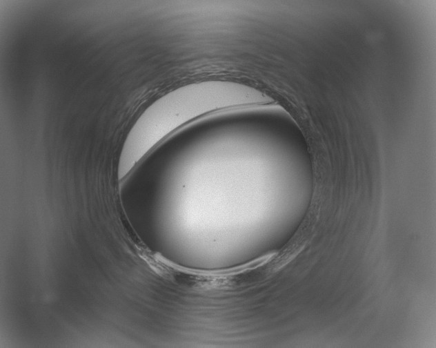 X0000056030288200508191000