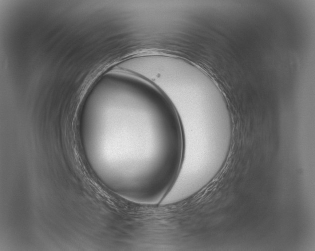 X0000056030289200508190959