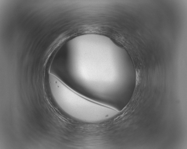 X0000056030291200508190959