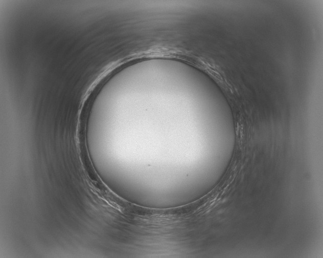 X0000056030292200508190959