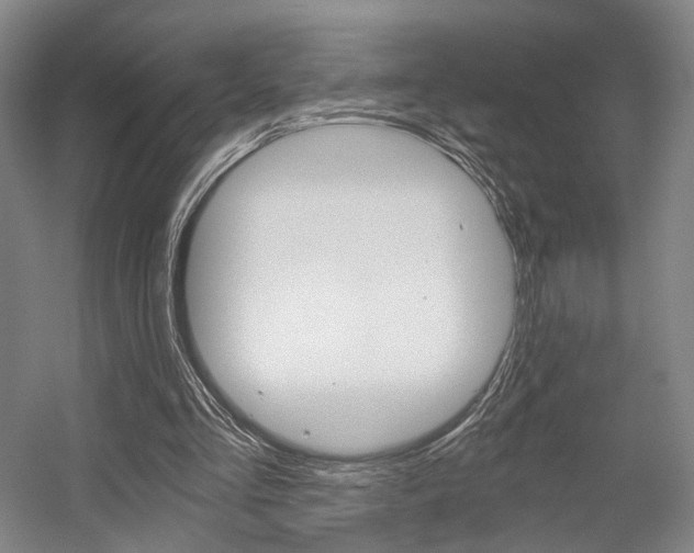 X0000056030293200508190959