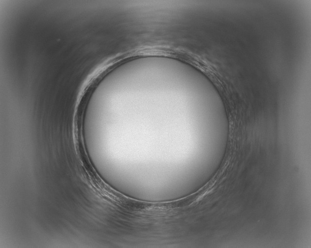 X0000056030294200508190959