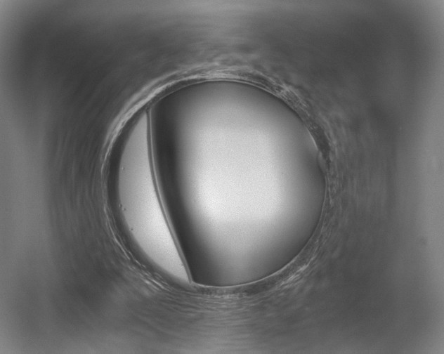 X0000056030295200508190959