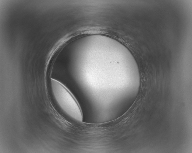 X0000056030296200508190959