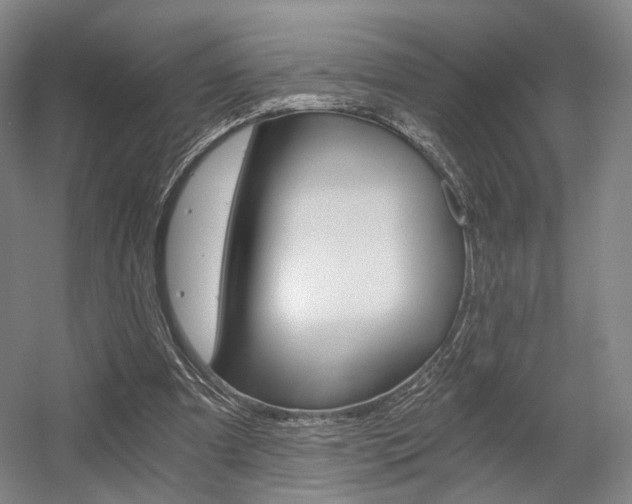 X0000056030297200508190959