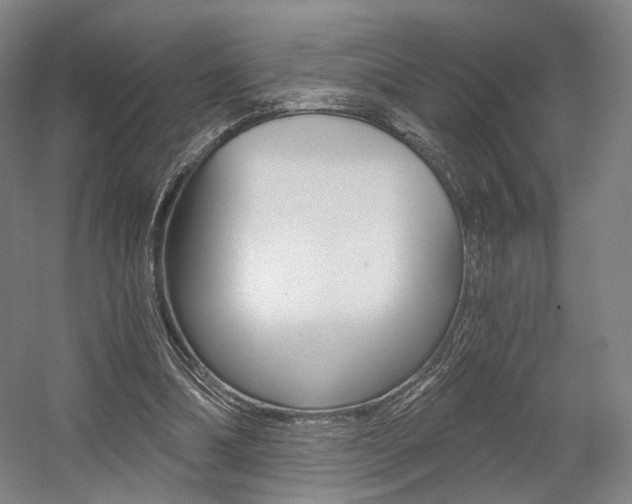 X0000056030298200508190959
