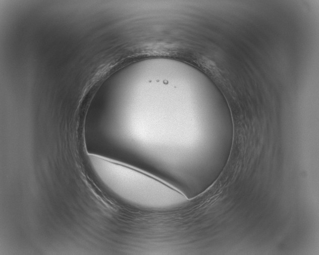 X0000056030299200508190959