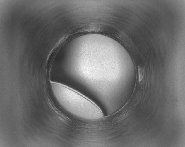 X0000056030300200508190959