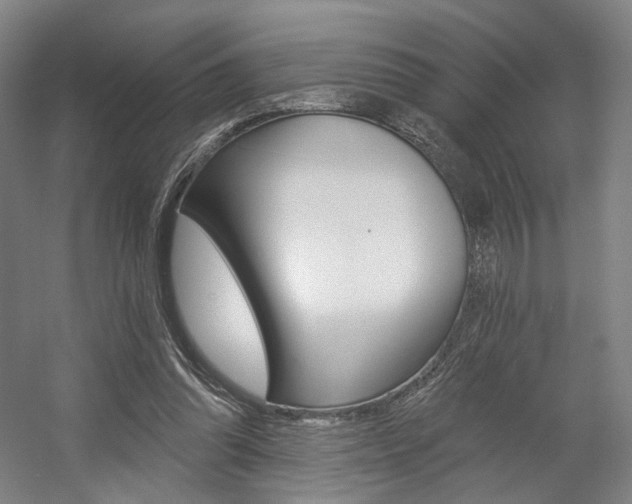 X0000056030302200508190959