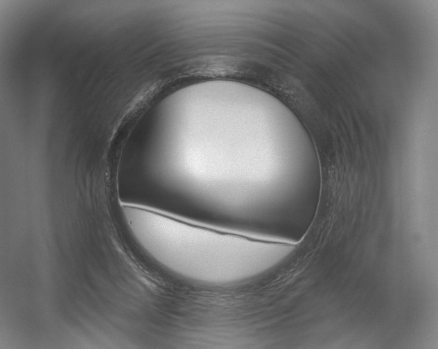 X0000056030304200508190959