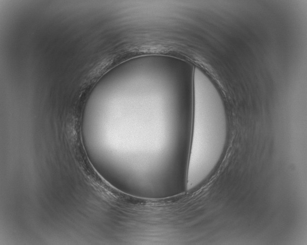 X0000056030305200508190959