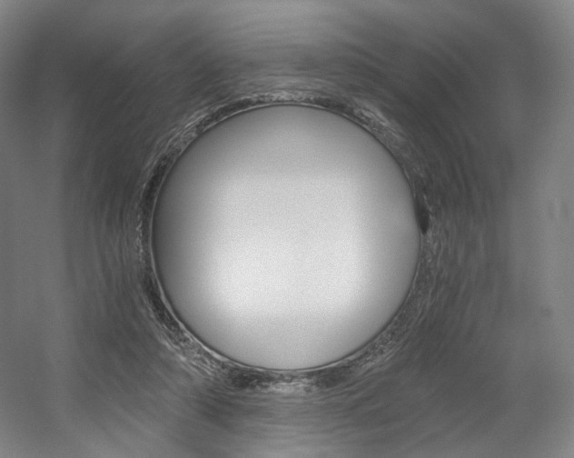X0000056030306200508190959