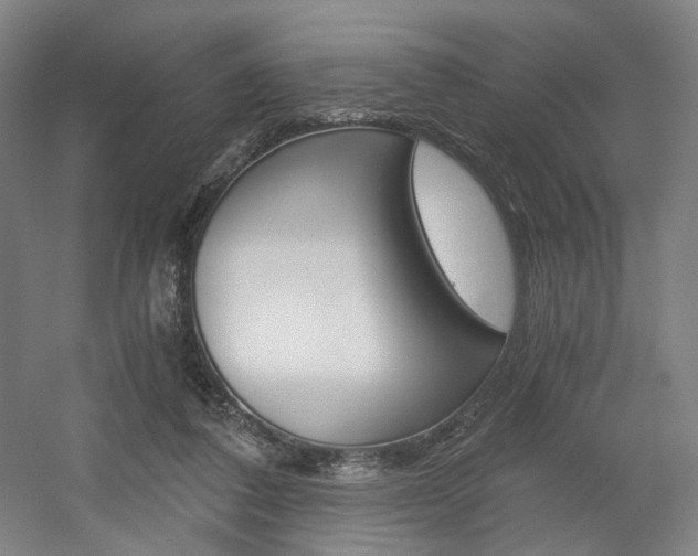 X0000056030308200508190959