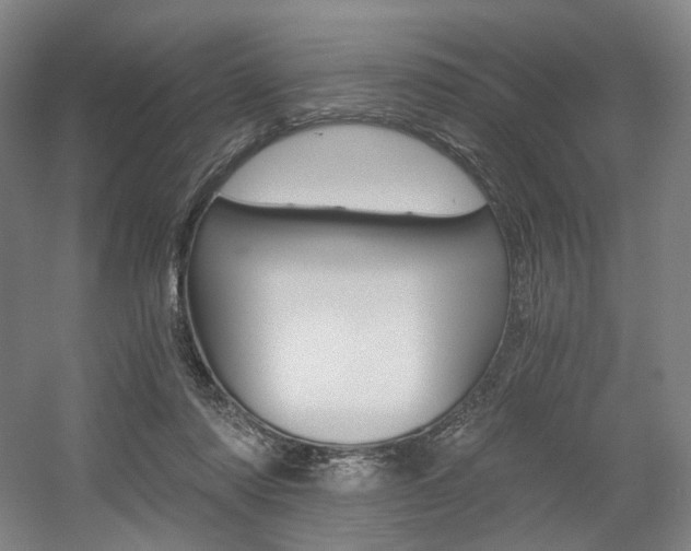 X0000056030310200508190959
