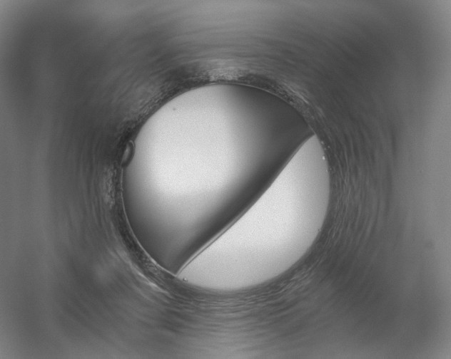 X0000056030311200508190959