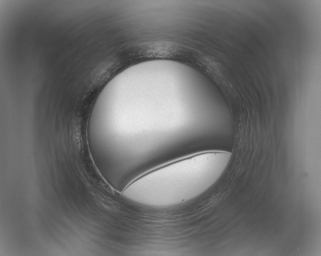 X0000056030312200508190959