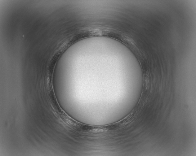 X0000056030314200508190959