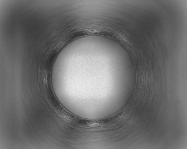 X0000056030315200508190959