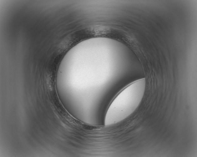 X0000056030316200508190959