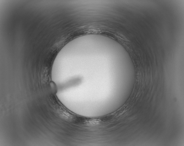 X0000056030318200508190959