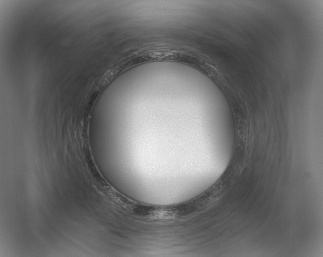 X0000056030319200508190959