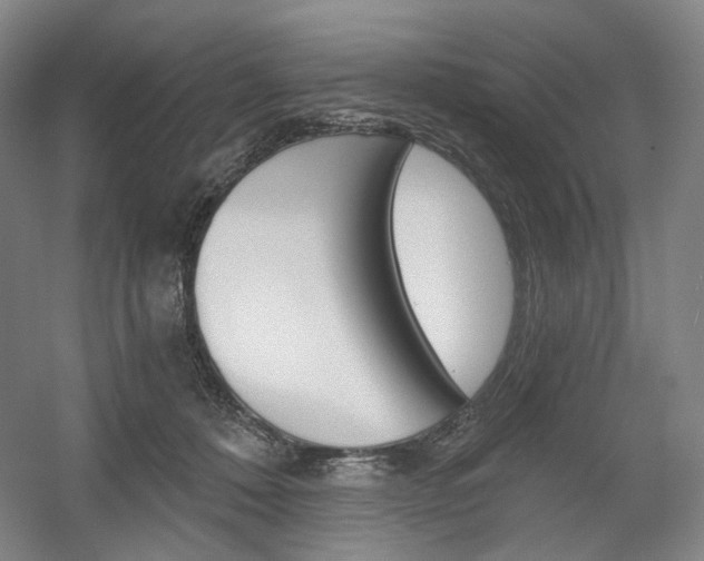 X0000056030320200508190959