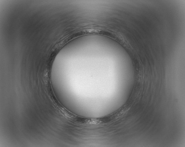 X0000056030321200508190959