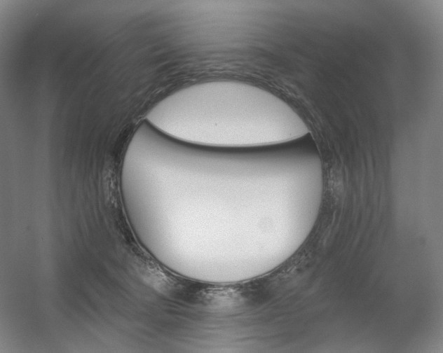 X0000056030322200508190959