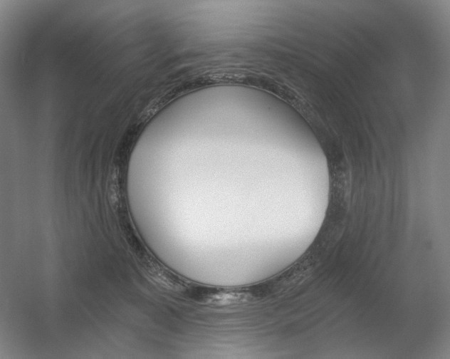 X0000056030323200508190959