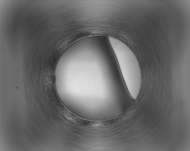 X0000056030325200508190959