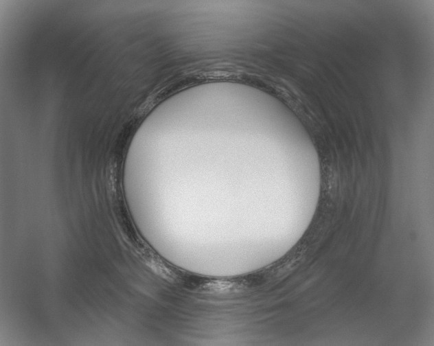 X0000056030326200508190959