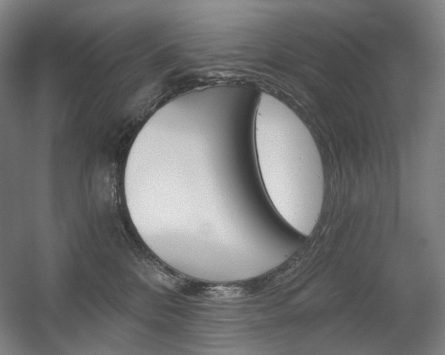 X0000056030328200508190959