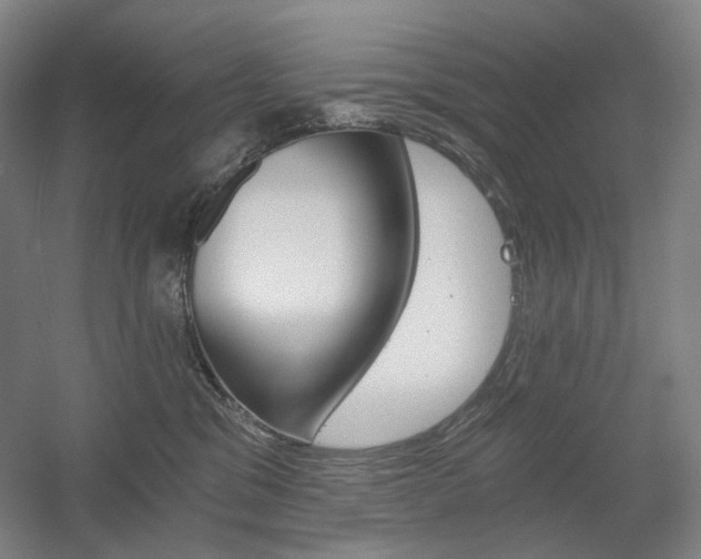 X0000056030329200508190959