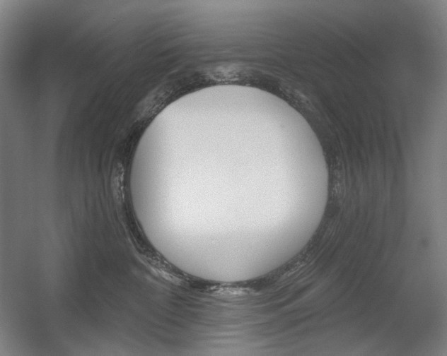 X0000056030332200508190959