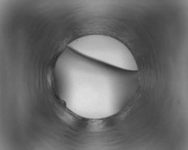 X0000056030334200508190959