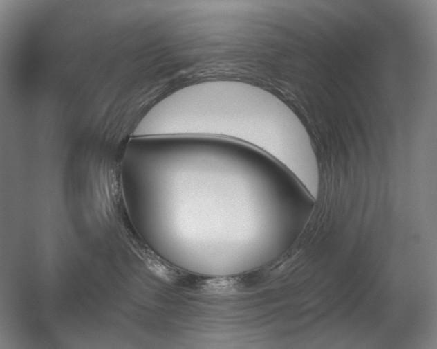 X0000056030335200508190959