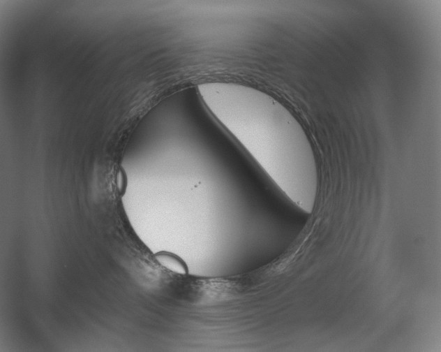 X0000056030336200508190959