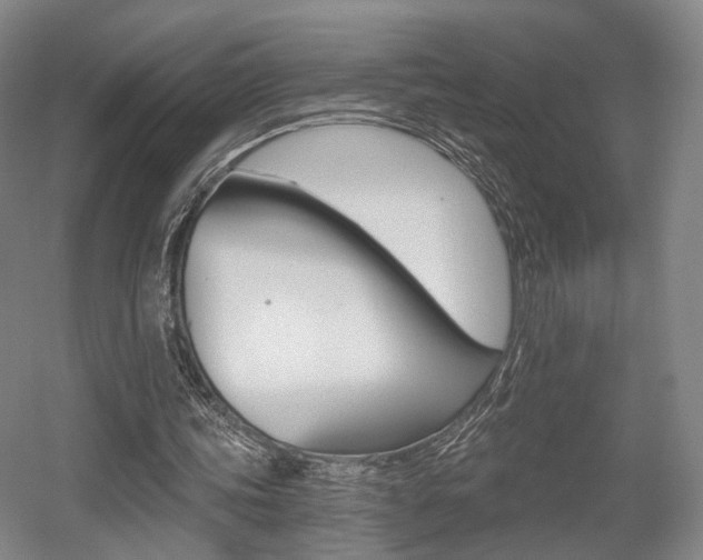 X0000056030339200508190958