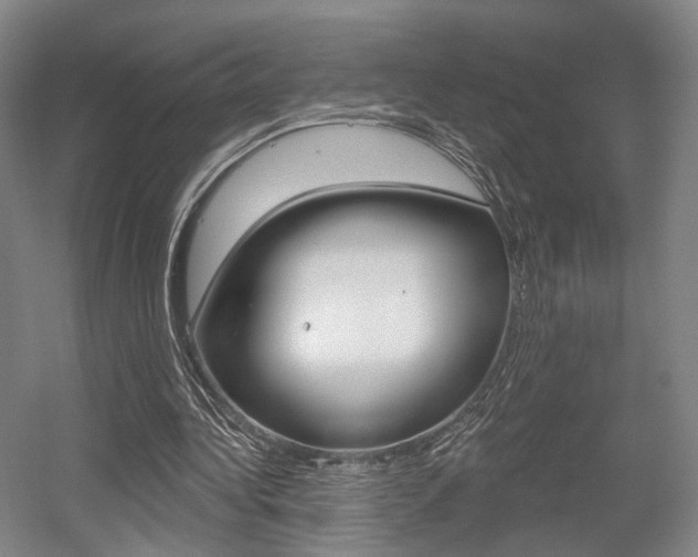 X0000056030340200508190958