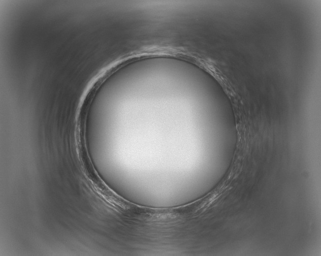 X0000056030342200508190958