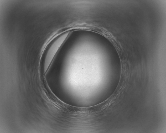 X0000056030344200508190958