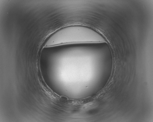 X0000056030345200508190958