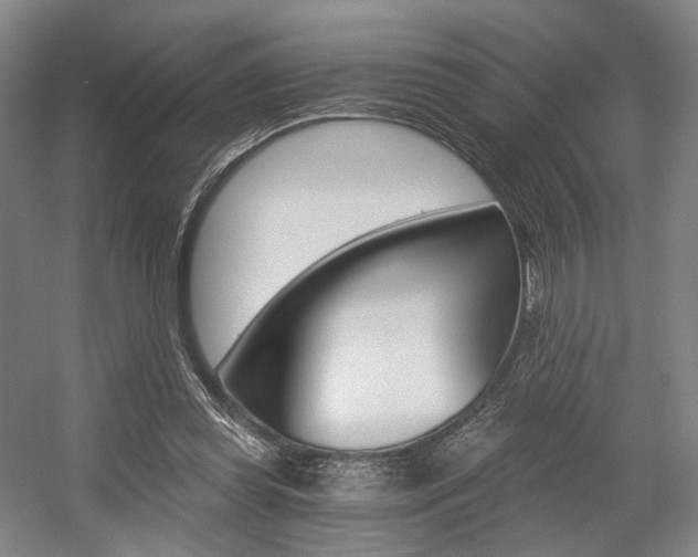 X0000056030349200508190958