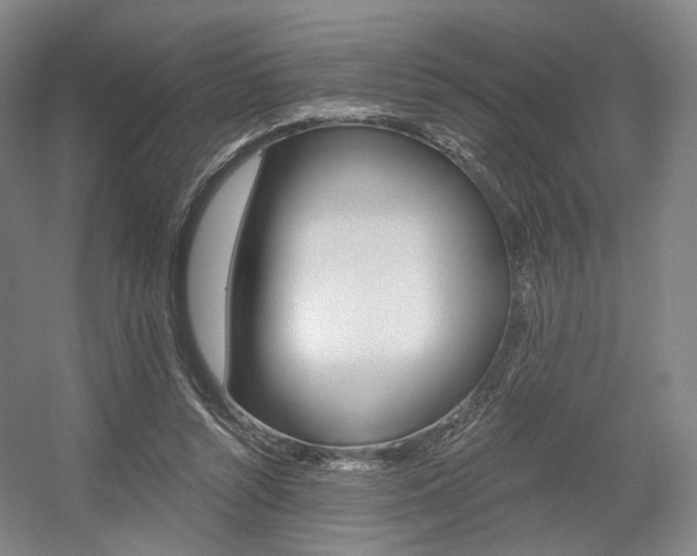 X0000056030352200508190958